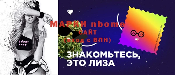 стаф Кущёвская