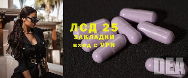 ГАЛЛЮЦИНОГЕННЫЕ ГРИБЫ Александровское