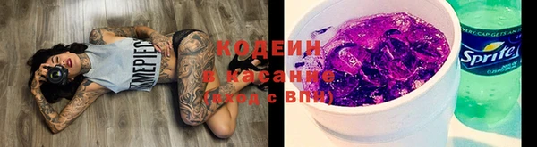 ГАЛЛЮЦИНОГЕННЫЕ ГРИБЫ Александровское