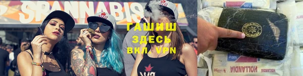 стаф Кущёвская