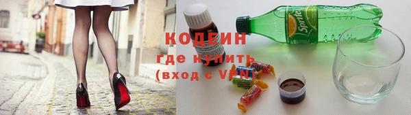 стаф Кущёвская