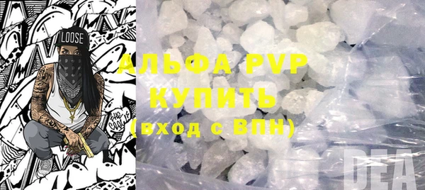 стаф Кущёвская