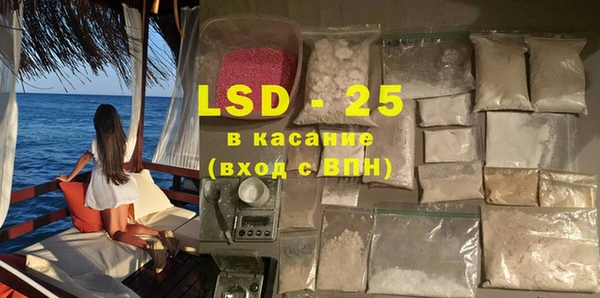 стаф Кущёвская