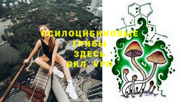 ГАЛЛЮЦИНОГЕННЫЕ ГРИБЫ Александровское