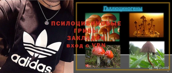 ГАЛЛЮЦИНОГЕННЫЕ ГРИБЫ Александровское