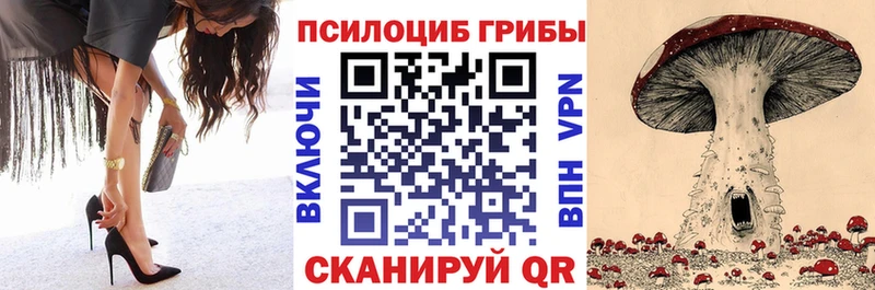 Галлюциногенные грибы GOLDEN TEACHER Купить Кудрово